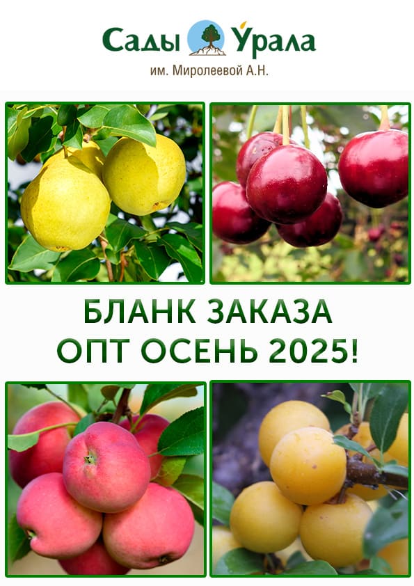 Бланк заказа ОСЕНЬ 2025г
